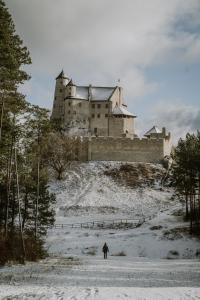 MirówŚliwkowy Sad的站在城堡前的雪中站着的人