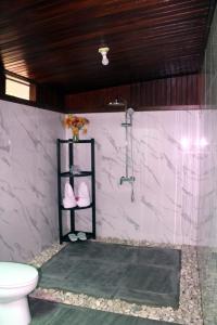 Pulau MansuarAmoryg Resort and Dive Raja Ampat的带淋浴和卫生间的浴室