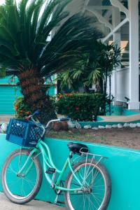 博卡斯德尔托罗格兰巴伊亚酒店的一辆自行车停在蓝色的墙上,旁边种着棕榈树