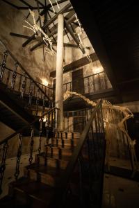 曼谷Baan Tuk Din Hotel的博物馆里的一个楼梯,有恐龙的骨架