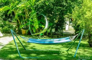 舍亚尔雅舒弗努瑞尔水果及宾馆的院子里草地上的蓝色吊床