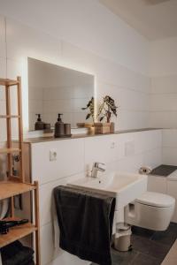 维尔茨堡JAMA - Modern&Bright, Terrasse, Freies Parken, WLAN, Große Gruppen #1的白色的浴室设有水槽和卫生间。
