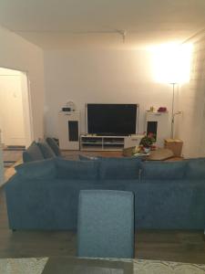 圣路易LOVE Appartement partagé avec le proprietaire的客厅配有蓝色的沙发和平面电视。