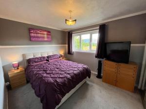 格拉斯哥Spacious home near Glasgow Green的一间卧室配有一张床和一台平面电视