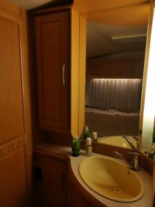 欧拉Amazham Caravan的一间带水槽和镜子的浴室