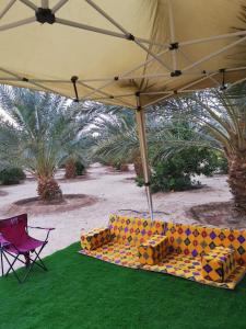 欧拉Amazham Caravan的一把带椅子和棕榈树的伞下的沙发