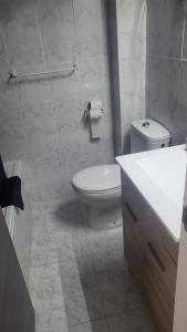 埃尔阿雷纳尔泰德酒店的浴室配有白色卫生间和盥洗盆。