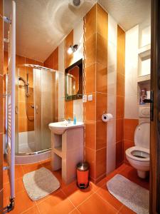 赫拉布斯拉吉别墅酒店的带淋浴卫生间和盥洗盆的浴室