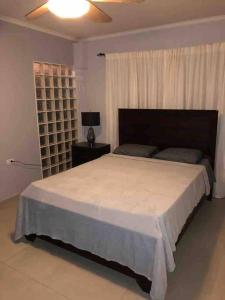 SavanetaBeautiful house in Sabana Basora Aruba!的一间卧室设有一张大床和一个窗户。