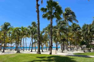 SavanetaBeautiful house in Sabana Basora Aruba!的海滩上一棵棕榈树和大海