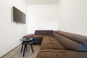 布拉格Apartments / 10 min from center / O2 ARENA的客厅配有棕色沙发和电视