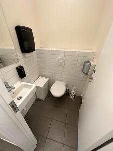 雷克雅未克Baron's Hostel的一间带卫生间和水槽的小浴室