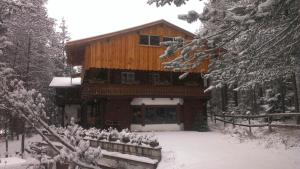 圣维吉利奥B&B Villa Dolomites Hut的雪地里的小木屋,有雪覆盖的树木