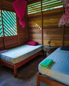 马尔多纳多港ROSA'S HOUSE的配有木墙和窗户的客房内的两张床