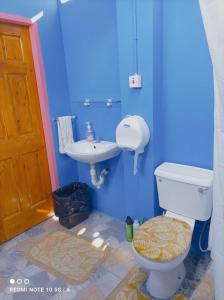 圣费尔南多DesMaries Pleasantville的蓝色的浴室设有卫生间和水槽