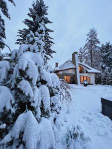 梅希莱尼采Zarabie Residence的房子前面的松树被雪覆盖