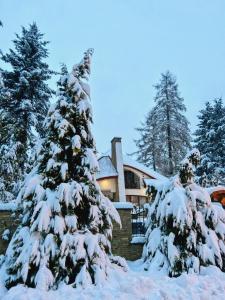 梅希莱尼采Zarabie Residence的房子前的雪覆盖的圣诞树