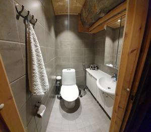 列维威瑞卡小木屋的一间带卫生间和水槽的小浴室