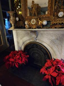 米斯蒂克1833之家住宿加早餐旅馆的壁炉,两朵红色的鲜花和镜子