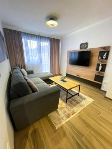 帕莱Apartman Maksim Ravna Planina的带沙发和平面电视的客厅