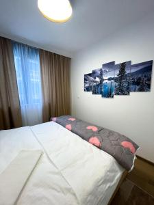 帕莱Apartman Maksim Ravna Planina的卧室配有一张墙上有两张照片的床。