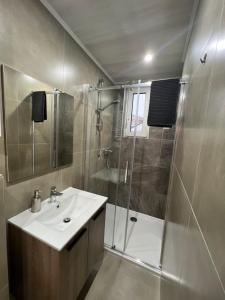 布鲁塞尔Cosy Apartment Merode 2的带淋浴、盥洗盆和淋浴的浴室