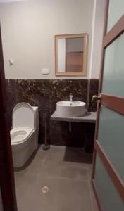 万卡约Hotel Vista Verde的一间带卫生间和水槽的浴室