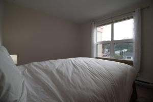 怀特霍斯NN - Pink Palace - Downtown 1-bed 1-bath的卧室内的一张白色床,设有窗户