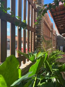 巴雷里尼亚斯Pousada Vitória do Lopes的门廊,有木栅栏和一些植物
