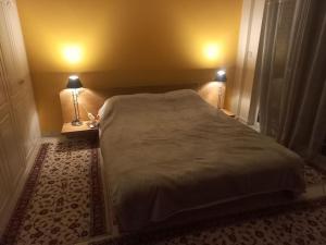 帕特雷Stefkas apartment2的一间卧室配有一张大床和两盏灯。