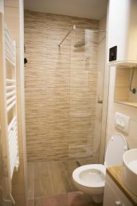 亚霍里纳Nomad Jahorina的带淋浴、卫生间和盥洗盆的浴室