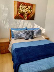 巴西利亚3 Quartos Melhor Valor do Df próximo ao Aeroporto e Plano的卧室配有一张蓝色的床,墙上挂着一幅画