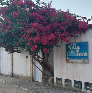 皮帕Villa da Praia的一座建筑物边有粉红色花的树