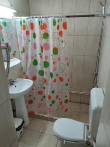 巴克乌CASA DIDINA fosta Pensiune Casa Didina的浴室设有淋浴帘、卫生间和水槽
