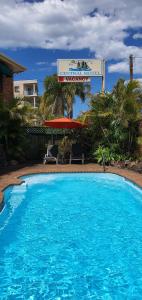 尼尔森湾Central Motel Nelson Bay的酒店前方的大型蓝色游泳池