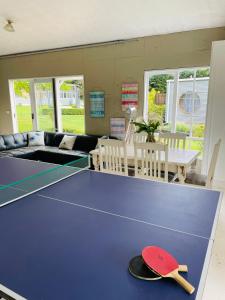 亚伯Farm Stay HARMONY Cottage at Wilindi Estate的一张带帽子的乒乓球桌