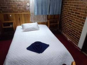 克萨尔特南戈Hotel Real del Campo的一间卧室,配有一张蓝色帽子的床