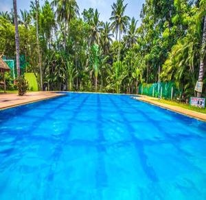蓬蒂切里FabEscape Queens Paradise的一个种有树木的大型蓝色游泳池