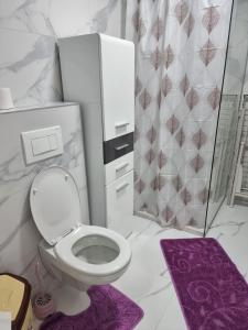 兹拉蒂博尔Apartman Stojanovic 2的一间带卫生间的浴室和紫色地毯
