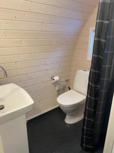 KjellerupNaturhytter的一间带卫生间和水槽的小浴室