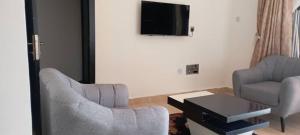 阿沙巴Remarkable 2-Bed Apartment in Asaba的客厅配有两把椅子和电视