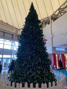LincolnshireBUTLINS SKEGNESS, 3 Beds, Pet Friendly - The Paddock的机场航站楼的大圣诞树
