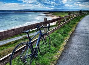 沃特福德The Old Thatch, Lemybrien的停在海边围栏旁的自行车
