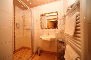 斯拉德明加尼兰德豪斯特勒肯巴赫酒店的带淋浴、盥洗盆和卫生间的浴室