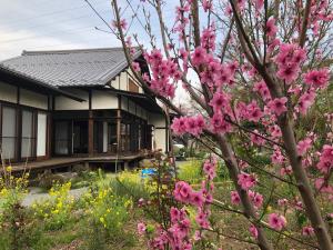 笛吹市Fukurou no Oyado - Vacation STAY 71246v的一座花园,在房子前方种有粉红色的花朵