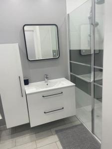 锡富尔勒普拉日"Le 63 aux Charmettes" Au Brusc Vue Mer Parking Wifi etc inclus的白色的浴室设有水槽和镜子