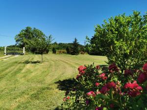 莫内斯捷La Grange de Cablanc的一片田野,在前沿有鲜花,在后边有树木