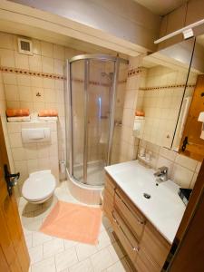 多弗加斯坦Wengerbauer的带淋浴、卫生间和盥洗盆的浴室
