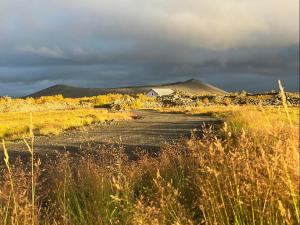 米湖Slow Travel Mývatn - Þúfa - Private Homestay的田间中土路