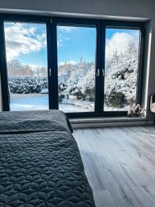斯托尼拉斯奇Agroturystyka u Maryli的卧室享有雪覆盖的庭院的景致。